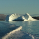 Eisberg im Fjord