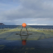 Netzkäfig für Lachse in einem isländischen Fjord.