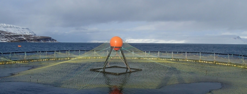 Netzkäfig für Lachse in einem isländischen Fjord.