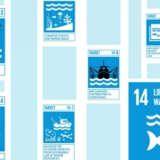 SDGs bei oceanBASIS