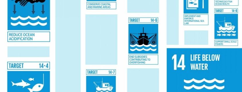 SDGs bei oceanBASIS
